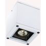 Lumină montată pe suprafață CEILING LIGHT E270 1x35W/GU10 IP65 de la Zambelis