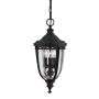 Lampă cu pendul ENGLISH BRIDLE FE-EB8-M-BLK 3x60W/E14 IP23 de la Feiss