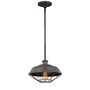 Lampă cu pendul LENNEX FE-LENNEX-P 1x60W/E27 de la Feiss