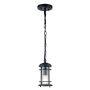 Lampă cu pendul Lighthouse FE-LIGHTHOUSE8-S-BLK 1x60W/E27 IP44 de la Feiss