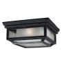 Lustră de tavan SHEPHERD FE-SHEPHERD-F 2x75W/E27 IP44 de la Feiss