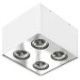Lumină montată pe suprafață NINO AZ0851 4x50W/GU10 de la AZzardo