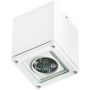 Lumină montată pe suprafață TONIO AZ0870 1x50W/GU10 de la AZzardo