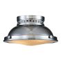 Lustră de tavan Amelia HK-AMELIA-F-M-CM 2x40W/E27 de la Hinkley