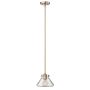 Lampă cu pendul CONGRESS HK-CONGRESS-P-A-BC 1x60W/E27 de la Hinkley Lighting