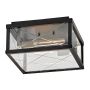 Lampă de tavan Monte HK-MONTE-F-BK 2x40W/E27 ip44 de la Hinkley