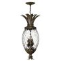 Lampă cu pendul PLANTATION HK-PLANT4-P-PZ 4x40W/E14 de la Hinkley Lighting
