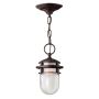 Lampă cu pendul REEF HK-REEF8-VZ 1x60W/E27 IP23 de la Hinkley Lighting