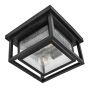 Lampă de tavan Republic HK-REPUBLIC-F-BK 2x40W/E27 ip44 de la Hinkley