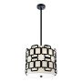 Lampă cu pendul Sabina HK-SABINA-3P-BK 3x60W/E27 de la Hinkley