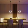 Lampă cu pendul Miele LP-866/1P SM/GD 1x60W/E27 IP20 de la Light Prestige