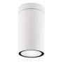 Lumină montată pe suprafață CERISE 9040021 IP54 de la Nova Luce