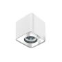 Lumină montată pe suprafață NINO AZ0598 1x50W/GU10 de la AZzardo