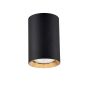 Lumină montată pe suprafață Manacor LP-232/1D - 90 BK/GD 1x50W/GU10 IP20 de la Light Prestige