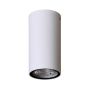 Lumină montată pe suprafață Fano OPN-2002-4K 4000K 1x3W/LED 255lm IP54 de la Italux