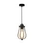 Lampă cu pendul HORTA P14030C 1x60W/E27 de la Zuma Line