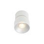 Spot PITCHER 2310400101 1x10W/GU10 IP20 de la Nordlux