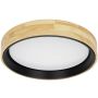 Lustră de tavan CAMPELO PLF-4350-25W-WD-BK-4K 4000K 25W/LED 2500LM IP20 de la Italux