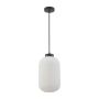 Lampă cu pendul Lindo PND-52636-1-BK 1x40W/E27 IP20 de la Italux