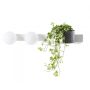 Aplique de perete BOTANICA DECO 20852201 2x9W/E14 IP20 de la Kaspa