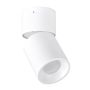 Lumină montată pe suprafață NIXA 314239 max 10W LED IP20 de la Polux