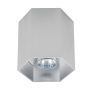 Lumină montată pe suprafață POLYGON 20067-AL 1x50W/GU10 de la Zuma Line