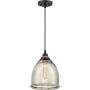 Lampă cu pendul PICCOLO QZS-QPP2818K 1x60W/E27 de la Quoizel