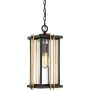 Lampă cu pendul GOLDENROD QZ-GOLDENROD8-M 1x60W/E27 IP23 de la Quoizel