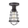 Lustră de tavan Mixon QZ-MIXON-SF-PN 1x60W/E27 de la Quoizel