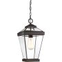 Lampă cu pendul RAVINE QZ-RAVINE8-M 1x60W/E27 IP44 de la Quoizel