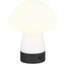 Lampă de masă DOOLEY R54981131 3000k 1x1.5w/led 140lm ip20 de la Trio