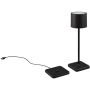 Lampă de masă FERNANDEZ R54096132 2700+4000+6000K 1x1w/led 130lm ip54 de la Trio