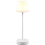 Lampă de masă MARTINEZ R54086131 2700-6500K 1x2w/led 250lm ip44 de la Trio