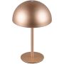 Lampă de masă MUNOZ R54891165 3000k 1x1.3w/led 120lm ip20 de la Trio