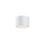 Lumină montată pe suprafață Hydra C090CL-10W3K-W 3000K 1x10W/LED 740lm IP44 de la Maytoni