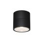 Lumină montată pe suprafață Spin O310CL-L5GF3K 3000K 1x5W/LED 480lm IP54 de la Maytoni