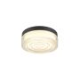 Lustră de tavan CYFT 1010211 2700K/3000K/4000K 1x15W/LED 850lm|950lm|960lm de la SLV