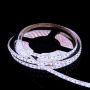 Bandă LED PROline TAS4281SLL 6000K 120x12W/m/LED 1400 lm/m IP66 de la SMD LED