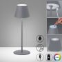 Lampă de masă Cosenza 850212 RGBW 2x2W/LED 270lm IP44 de la Fischer&Honsel