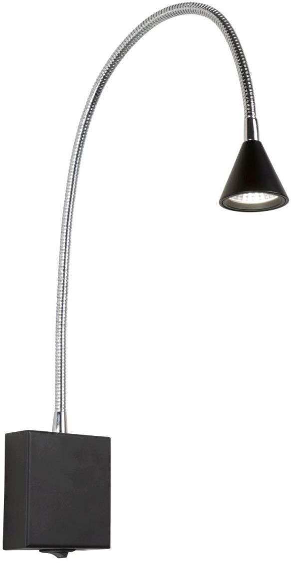 BUDDY-18293/03/30-Lucide-239852