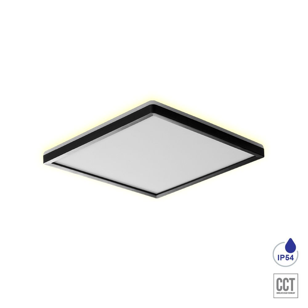 CORDIA SQ II.-27311-Prezent-235938