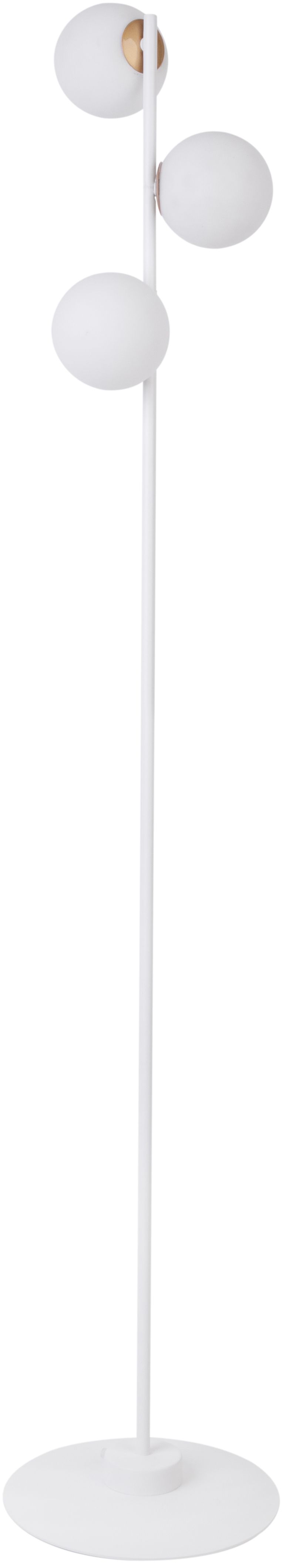 GAMA-50204-Sigma Lighting-205793