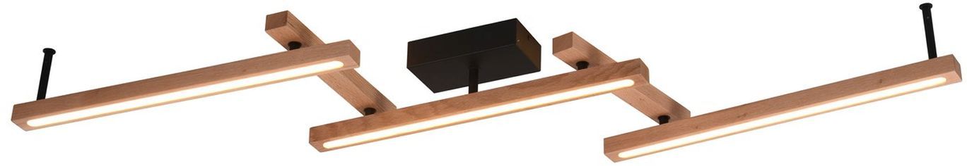 BELLARI-626410530-TRIO-241590