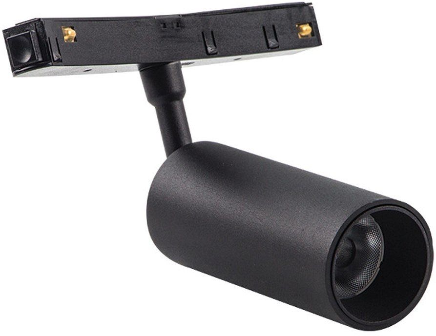MAGNETIC SPOT-22094-Zambelis-262489