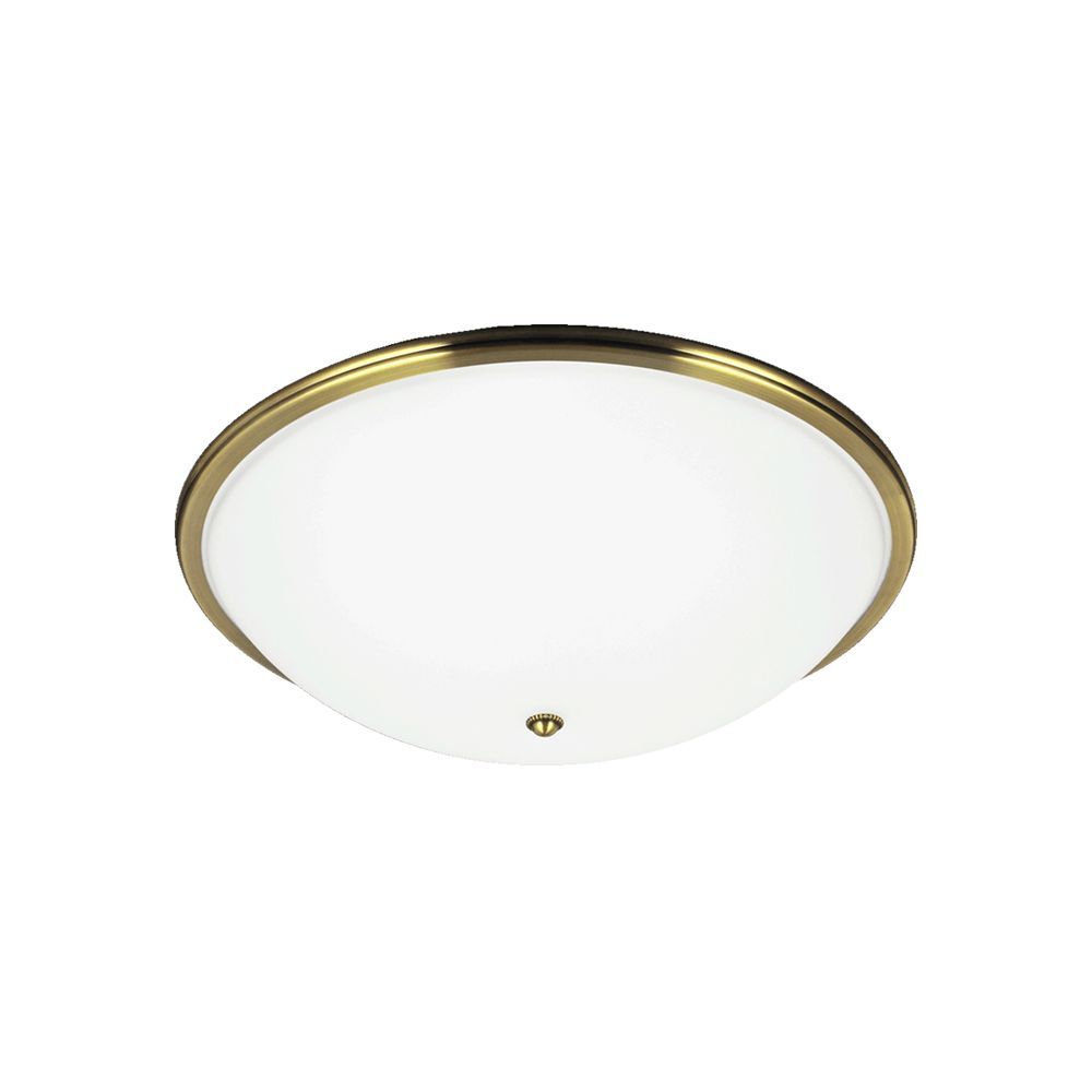 VIOLA-75352-Prezent-165494