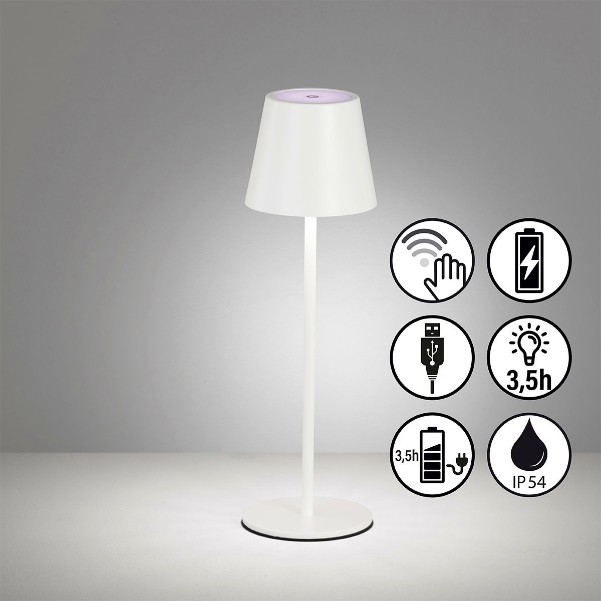 Viletto-850354-Fischer&Honsel-224938