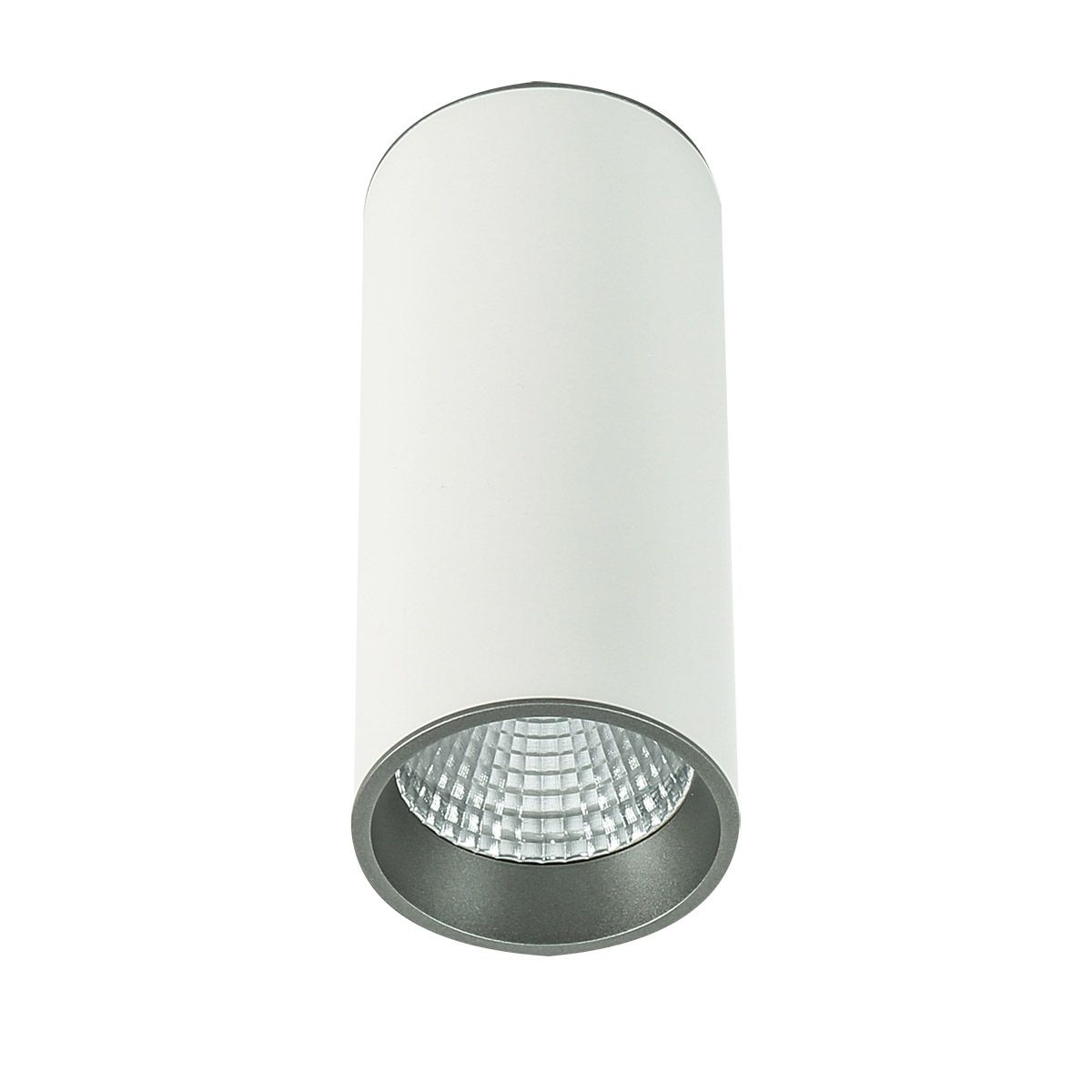 MOLDES-SLC7392/12W 4000K WH+GR-Italux-119358