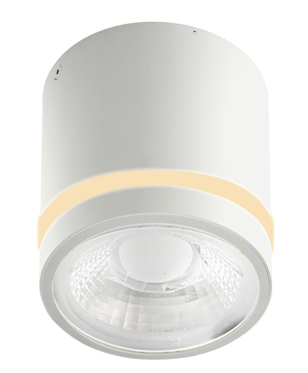 VICI-AZ6040-AZzardo-228126