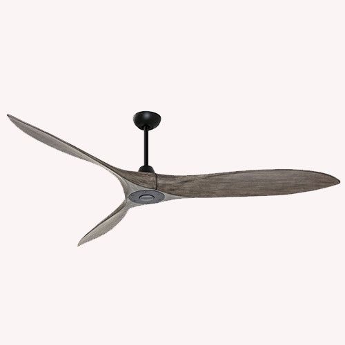FAN CEILING-20259-Zambelis-262350