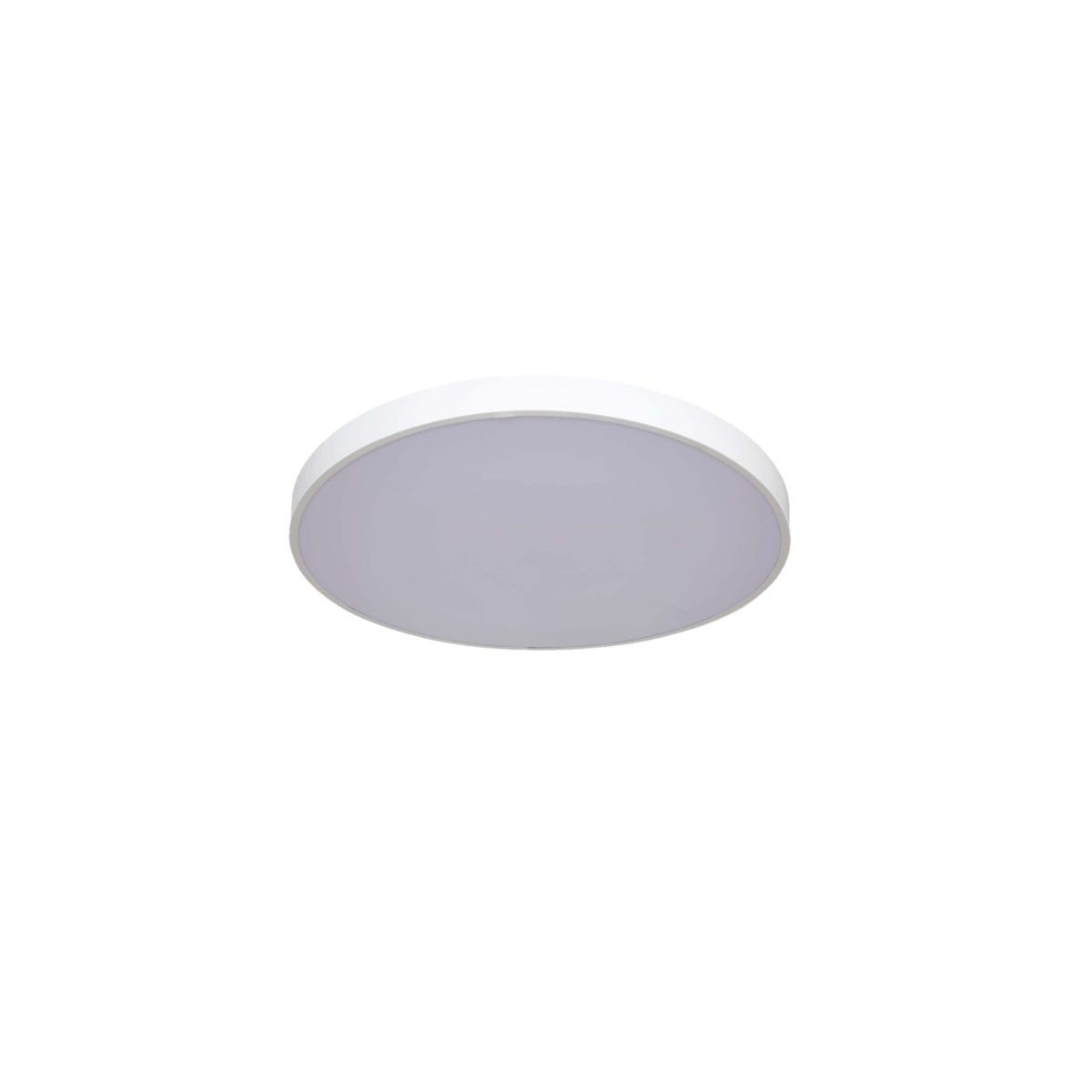 Rapido-LP-433/1C S WH-Light Prestige-225746
